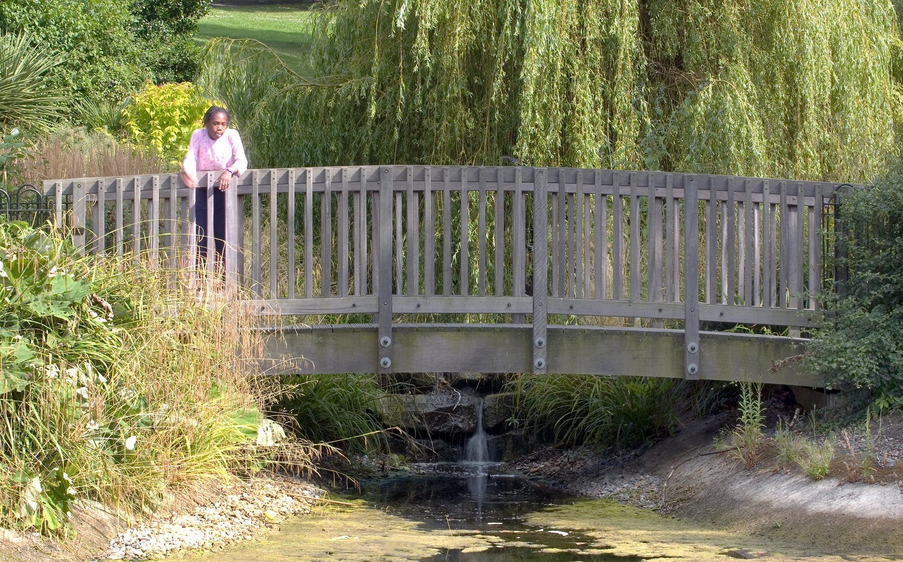 Short span bridge with camber